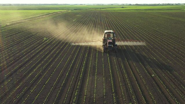 Above view, dolly move with backlight on tractor until spraying farmland, dragging mounted wide agricultural sprayer on a field with young new cereal crop, corn, maize.