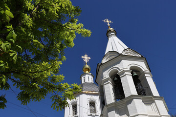 Domes of the Orthodox church with a cross and chestnuts against the blue sky. Christian temple in...