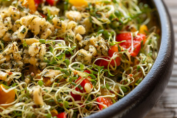 Close up view of alfalfa sprouts and roasted bell pepper  salad with cashew nut and herbs dressing....