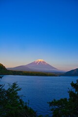 Fototapeta premium 本栖湖から見た富士山