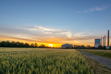 The morning in a wheat field in the background a coal-fired power station at sunrise. Landscape...