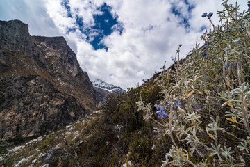 panormaic view of laguna paron in the snow-covered andes in the Huascarán national park in peru