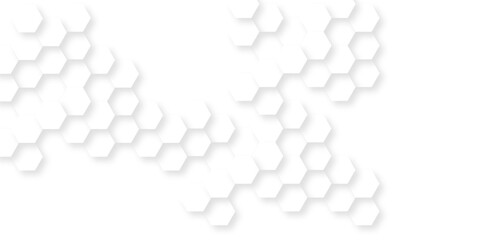 Abstract background with hexagon, modern abstract vector polygonal pattern. Futuristic abstract honeycomb technology white background. Luxury white hexagon pattern.