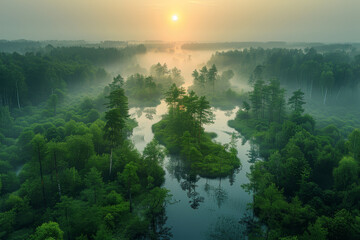 Aerial perspective of a foggy marshland during early morning, revealing the mysterious water paths. AI generated.