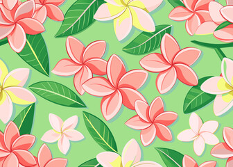 Frangipani pattern background,frangipani flowers, frangipani, vector, flowers, naive style, floral