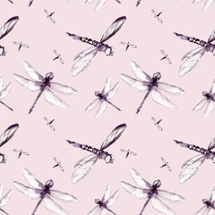 seamless pattern with summer dragonfly insect, monochrome watercolor flying damselfly, flying dragonfly spring wings illustration, water and meadow insects pink background