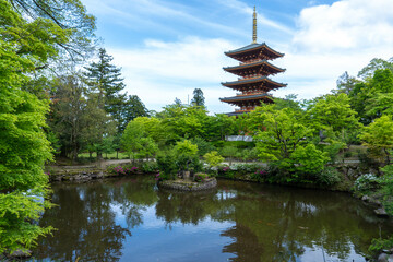 Fototapeta premium 成相寺