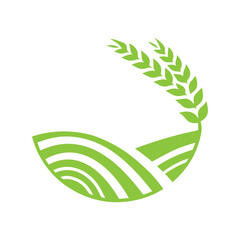 modern agriculture field flat design