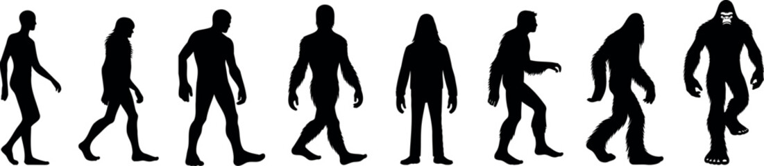 Bigfoot transformation silhouette, evolution sequence, mysterious bigfoot vector silhouette creature, Ape like humanoid, folklore legend, mythical Sasquatch, Yeti cryptid
