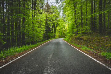 forest, road, green, landscape, nature, street, traffic
