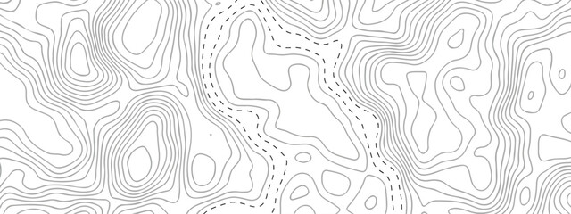 Topographic map background. Elevation line pattern topography map contour background. Abstract vector illustration. White wave paper curved reliefs abstract background. Geography map grid.