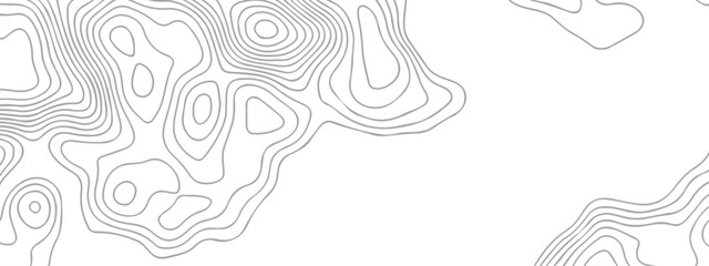 Topographic map background. Elevation line pattern topography map contour background. Abstract vector illustration. White wave paper curved reliefs abstract background. Geography map grid.