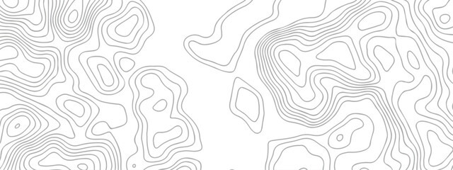 Topographic map background. Elevation line pattern topography map contour background. Abstract vector illustration. White wave paper curved reliefs abstract background. Geography map grid.