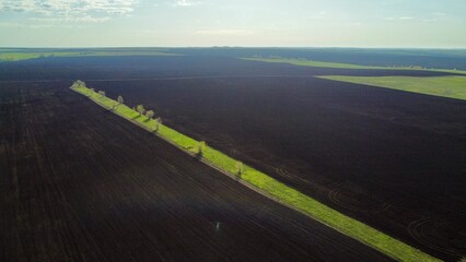 a road in spring passing by plowed fields