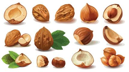 Hazelnuts on white background Vector style vector design