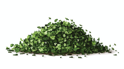 Heap of dry parsley on white background Vector style