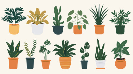 Home plant cute vector illustration in flat style Vector