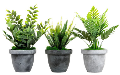 Collection of Faux Foliage in Decorative Pots Against White Backdrop, Copy Space