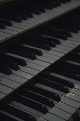 musical instrument organ