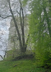 Przemyśl Castle Zamek Kazimierzowski is a fortification, one of the oldest in the Principality of Galicia. 