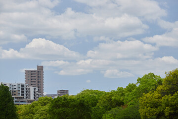 Fototapeta premium 綺麗な青空と新緑の森とマンションの風景