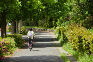 春の新緑の公園で自転車を乗る若い男性の姿
