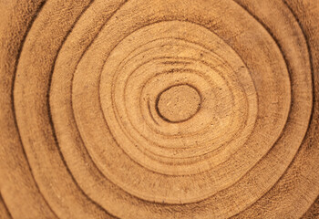 Close up view of concentric circles etched into a wooden surface. The texture and grain of the wood are clearly visible, revealing natural patterns. Tree rings textured Backgrounds sunshine yellow.