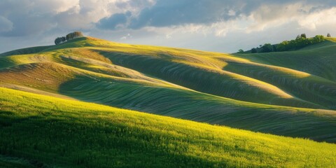 Obraz premium Undulating, rolling green wheat fields