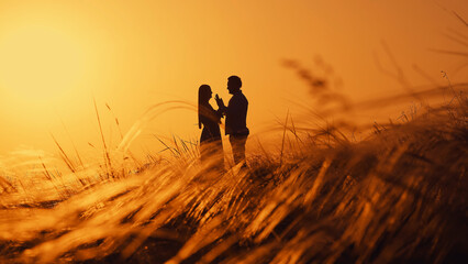 Silhouette of a couple in love against the background of a sunset in a field. Romantic scene of...