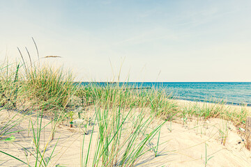 sand dunes and beach in summer. Baltic Sea Germany. Seascape sand Dune Landscape with beach and...