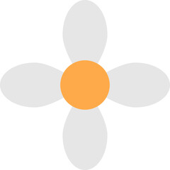 flower petals illustration