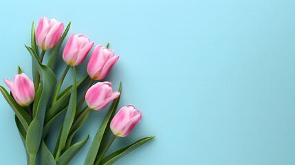 Naklejka premium Beautiful spring tulips and space for text on light blue background. Horizontal banner design.