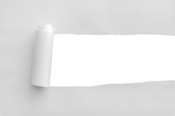 White torn paper rolled edge with space isolated on white background