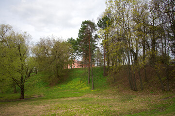 A lawn surrounded by greenery. Trees in the park in spring.