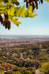 View through leaves into Barcelona