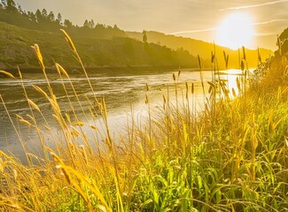 Shore of the pacific river at sunset, seen among the tall grass next to the water