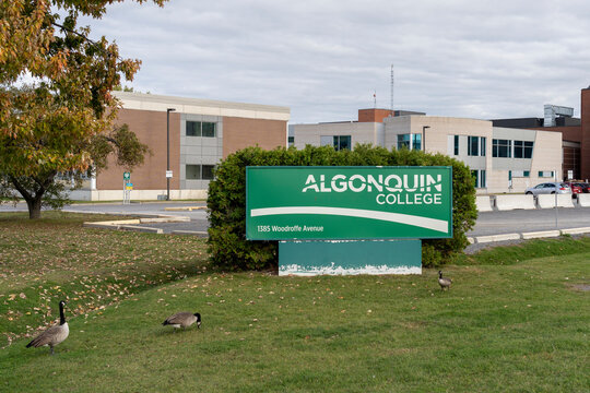 Algonkin Images – Browse 9,155 Stock Photos, Vectors, and Video | Adobe ...