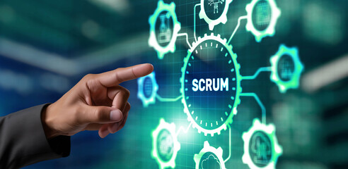 SCRUM methodology for organizing a joint work process