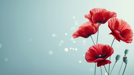   A red flower cluster rests atop a verdant green field, adjacent to a blue-and-white wallpaper