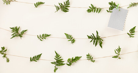 The light background of the wall, decorated with fern leaves on the string. Abstract festive...