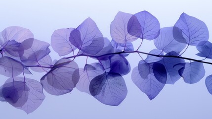   A branch with purplely leaves suspended to its side against a backdrop of azure sky, speckled with scattered clouds