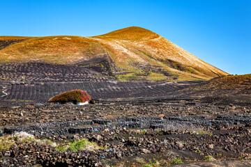Volcanic landscape, La Geria, Island Lanzarote, Canary Islands, Spain.