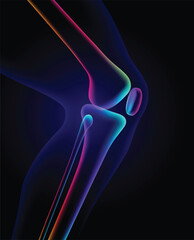 3D illustration of colorful knee bones in x-ray format on a dark blue background. Used in medicine, education, and science. Commercial and industrial.