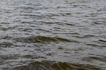 dark green waves on a fresh lake