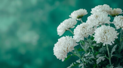   White flowers in a cluster sit atop a green table Nearby, a blue-green wall features a vaguely defined background