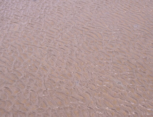 close up sand texture, background