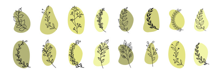 flower and leaves of different styles with illustrated background 