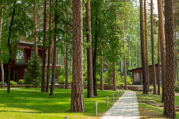 Wooden houses in a green pine forest with a walking path in front of them