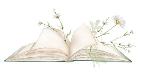 Open book with chamomile or daisy and white little flower watercolor illustration isolated on background. Books green colors with a fabulous story and flower echinacea. Vintage old textbook hand drawn