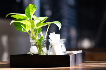 Small plants in glass jars and toothpicks on the table ,The interior of the restaurant on the morning bokeh light background - Powered by Adobe